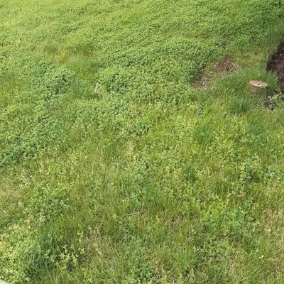 Johnny's Landscaping