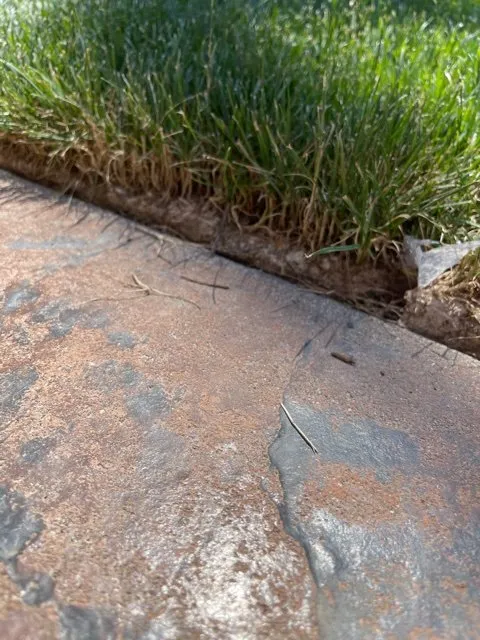 Trusted yard cleanup service in Renton, WA by Johnny's Landscaping