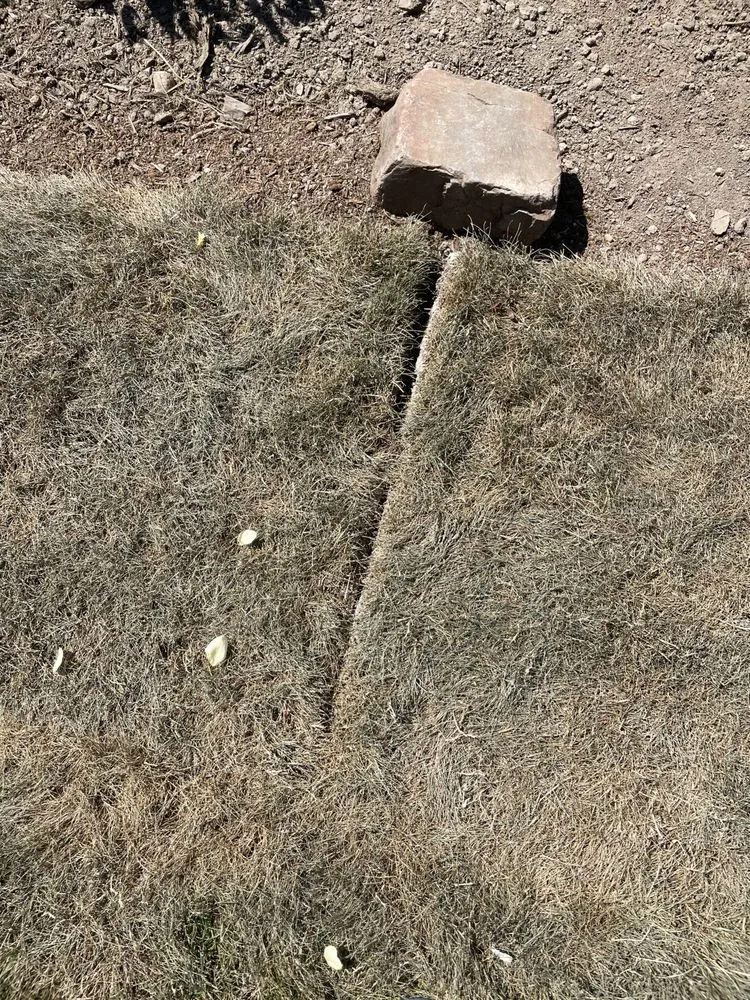 Local lawn mowing service with custom design in Renton, WA by Johnny's Landscaping