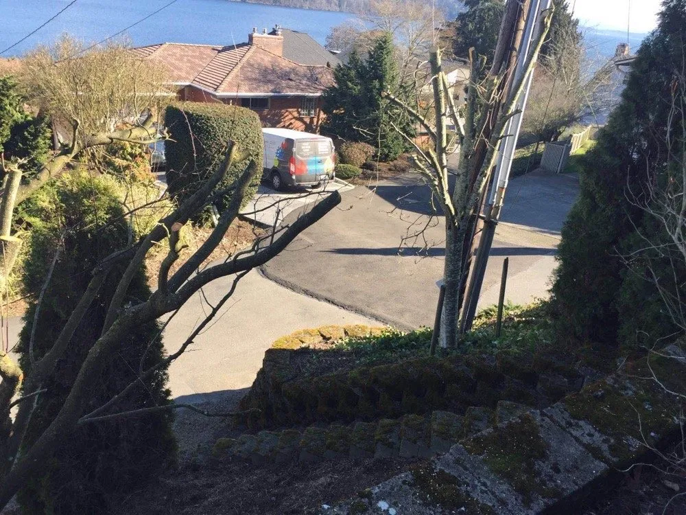 Expert lawn care service in Renton, WA by Johnny's Landscaping