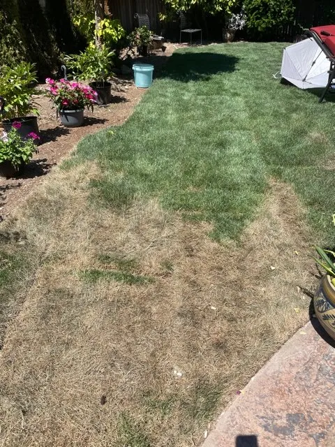 Expert landscape design for outdoor upgrades across Renton, WA - Johnny's Landscaping