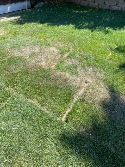 Reliable garden landscaping for outdoor upgrades across Renton, WA - Johnny's Landscaping