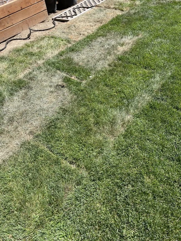 Expert lawn care service in Renton, WA by Johnny's Landscaping