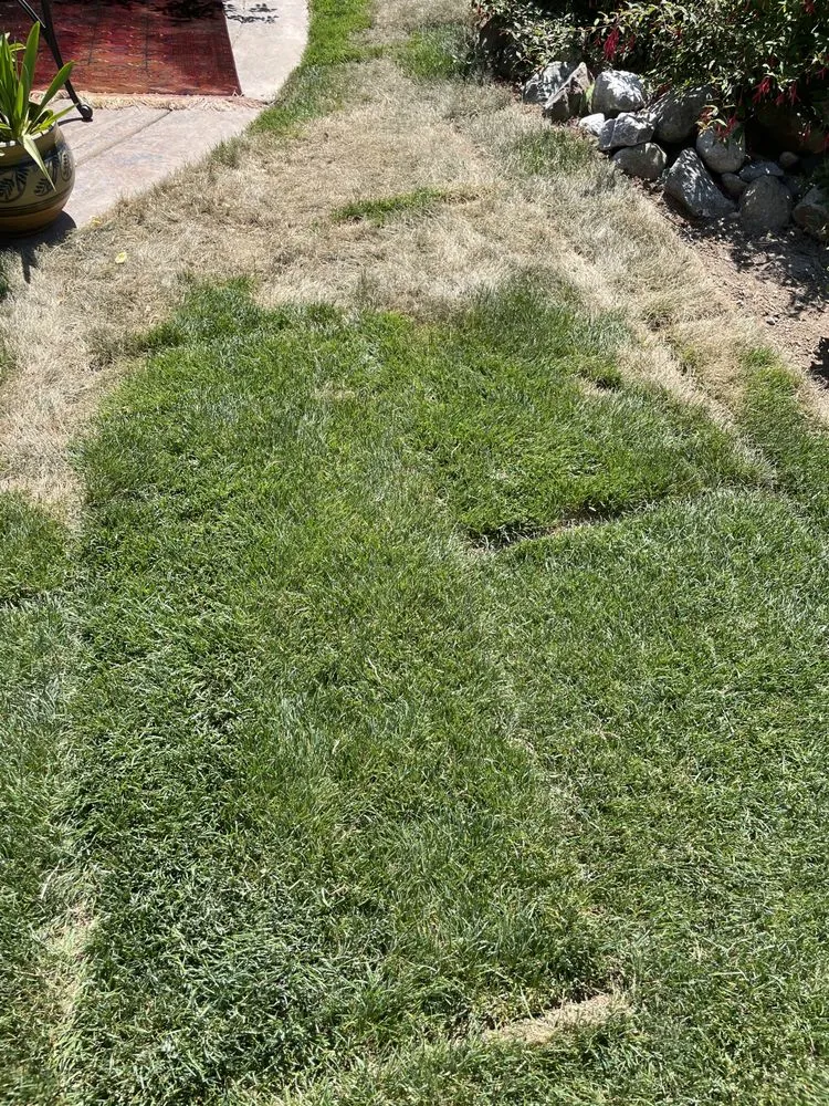 Local garden landscaping near you across Renton, WA - Johnny's Landscaping