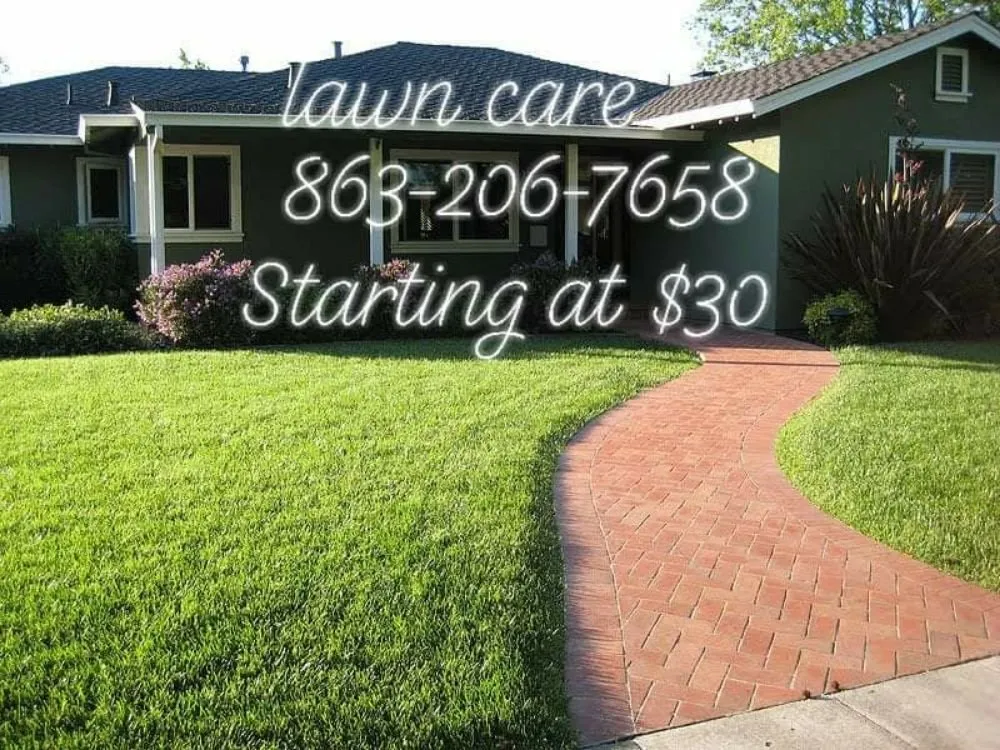 Affordable yard cleanup service near you in Auburndale, FL by Johnny's Lawn Care