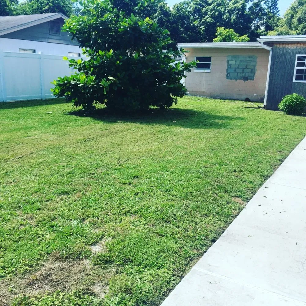 Trusted outdoor landscaping in Auburndale, FL - Johnny's Lawn Care