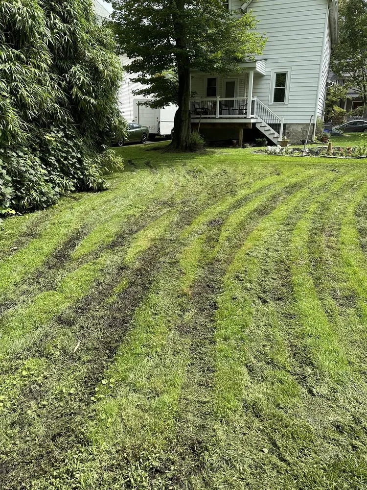 Trusted lawn mowing service for outdoor upgrades across Maple Shade Township, NJ - Johnny’s Lawn Service