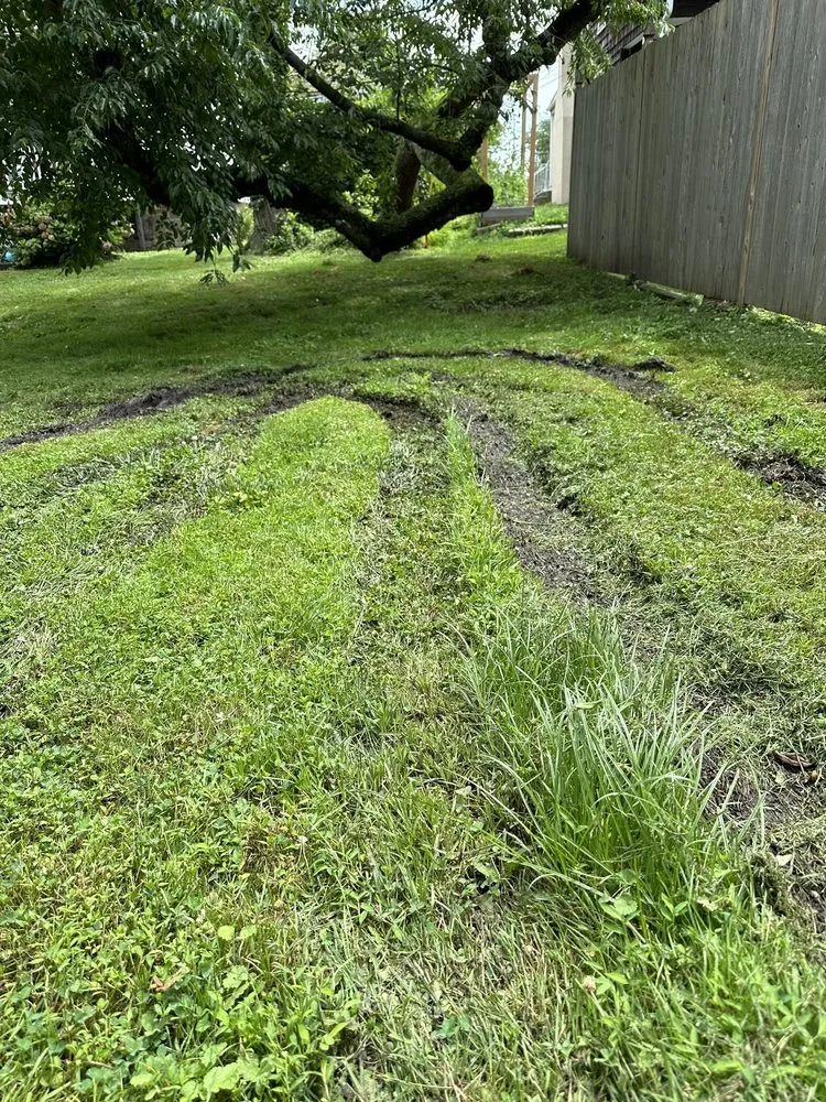 Top-rated yard maintenance in Maple Shade Township, NJ - Johnny’s Lawn Service