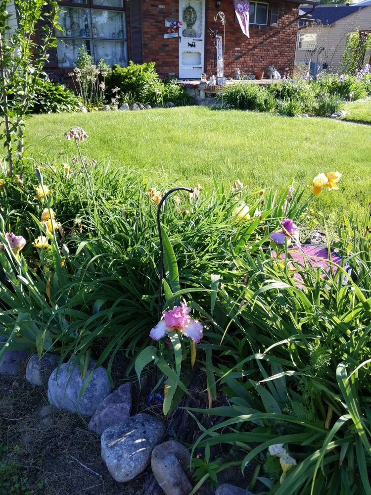 Professional residential landscaping in Maple Shade Township, NJ - Johnny’s Lawn Service
