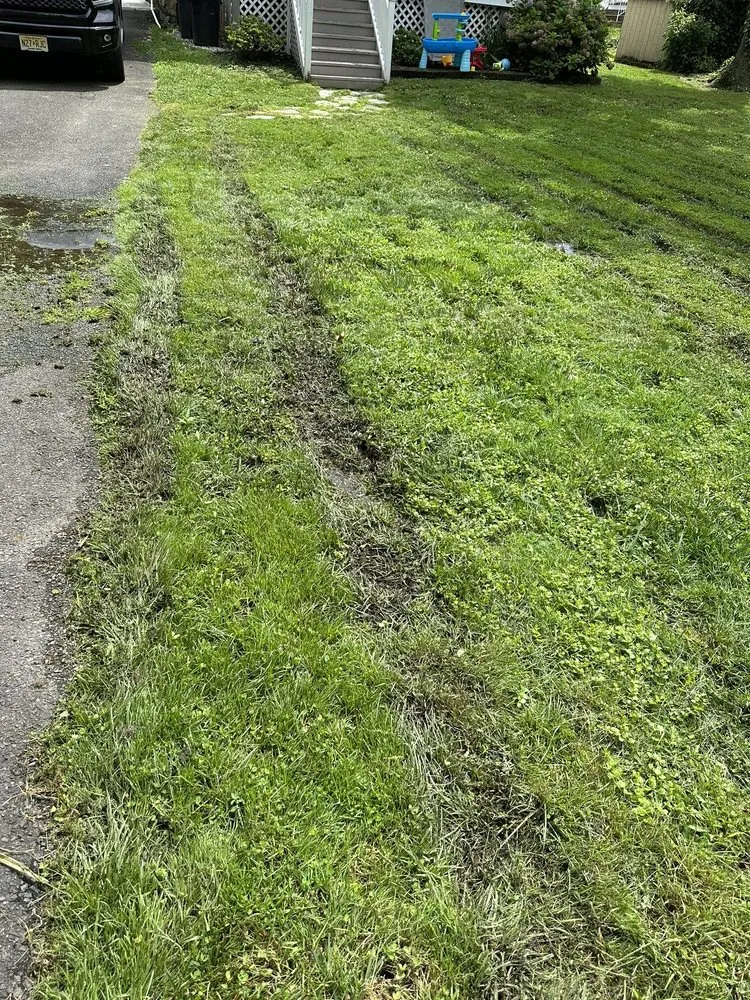 Expert yard cleanup service in Maple Shade Township, NJ by Johnny’s Lawn Service
