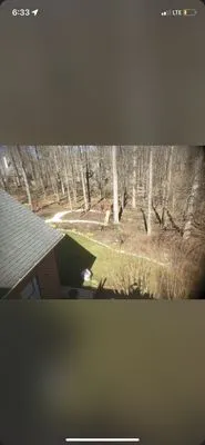 Johnnys Lawncare & MORE Logo