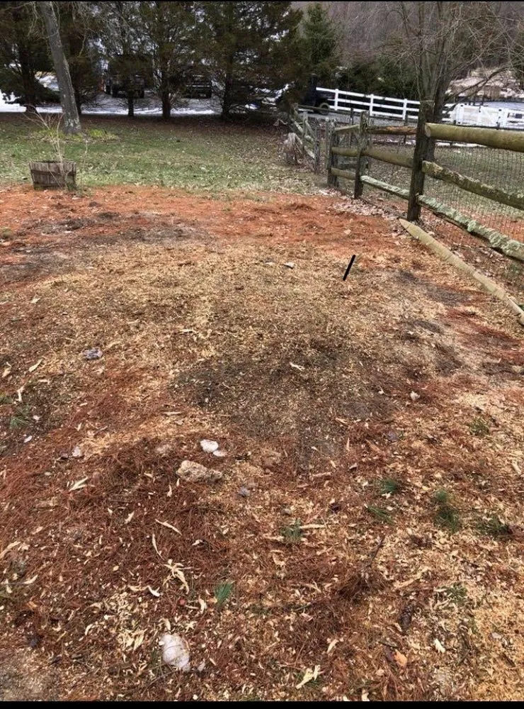 Trusted yard cleanup service for homes in Lumberton, NJ by Johnny's Stump Grinding