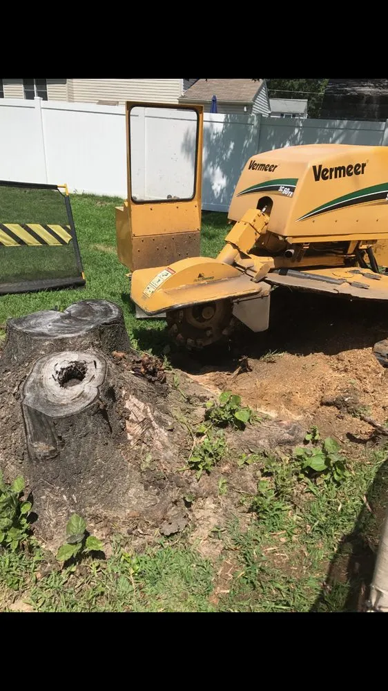 Custom landscape installation for homes in Lumberton, NJ by Johnny's Stump Grinding