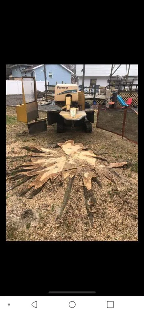 Professional garden landscaping in Lumberton, NJ by Johnny's Stump Grinding