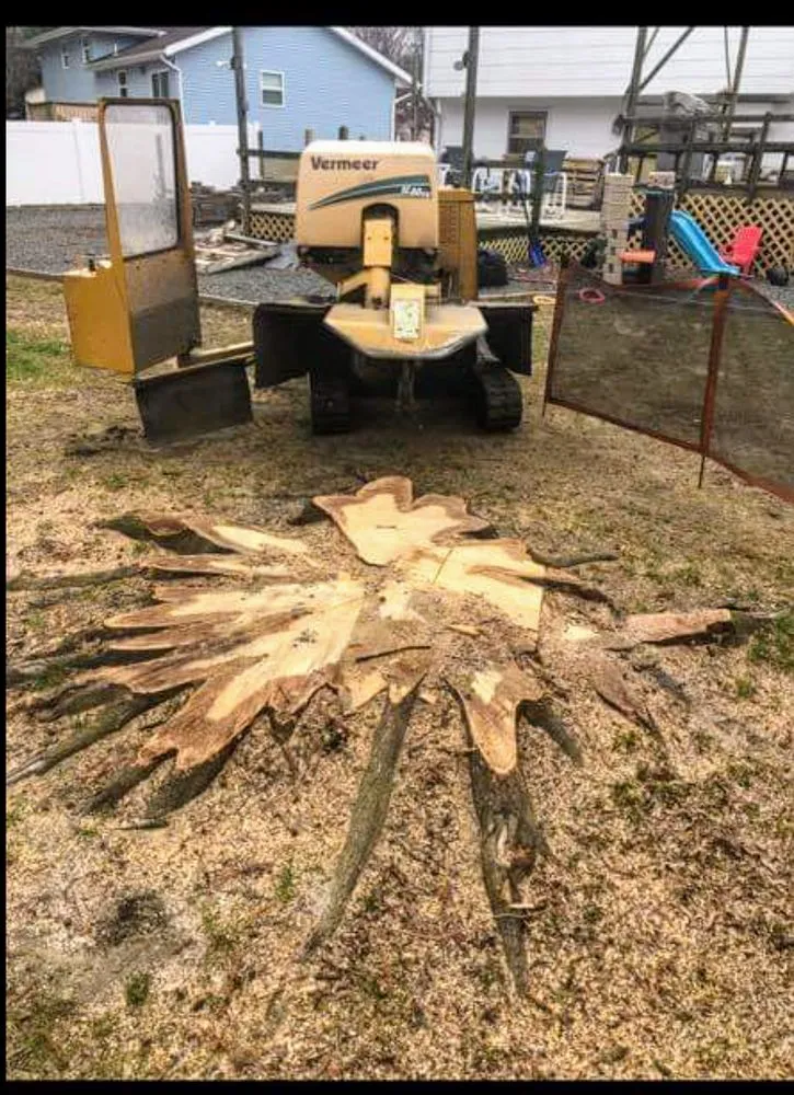 Expert outdoor landscaping in Lumberton, NJ by Johnny's Stump Grinding