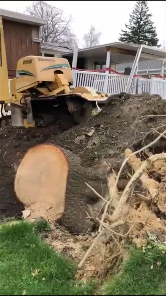 Professional landscaping services for homes across Lumberton, NJ - Johnny's Stump Grinding