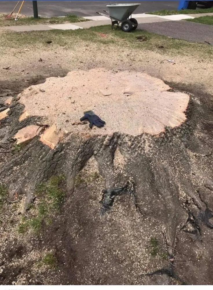 Trusted garden landscaping for year-round maintenance in Lumberton, NJ by Johnny's Stump Grinding