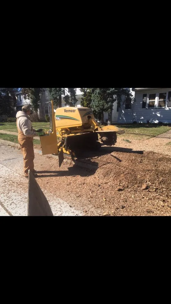 Trusted lawn care service for residential properties in Lumberton, NJ by Johnny's Stump Grinding