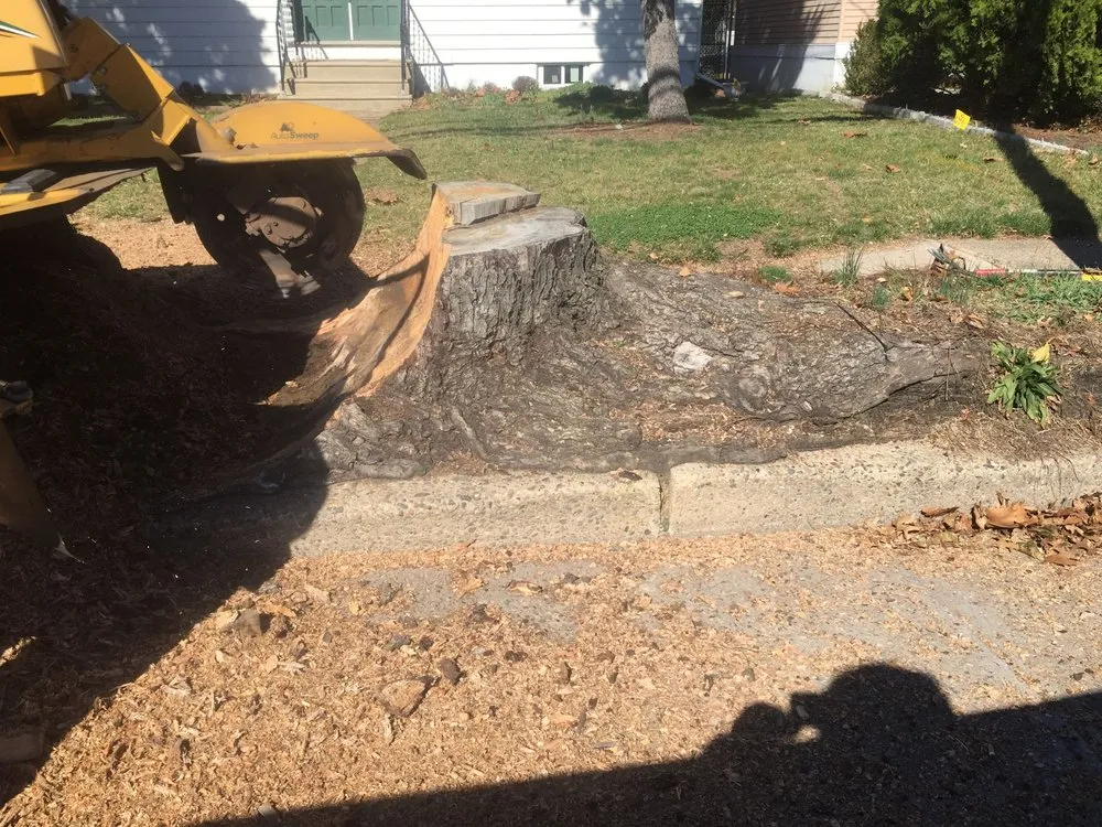 Trusted lawn care service for beautiful yards in Lumberton, NJ by Johnny's Stump Grinding