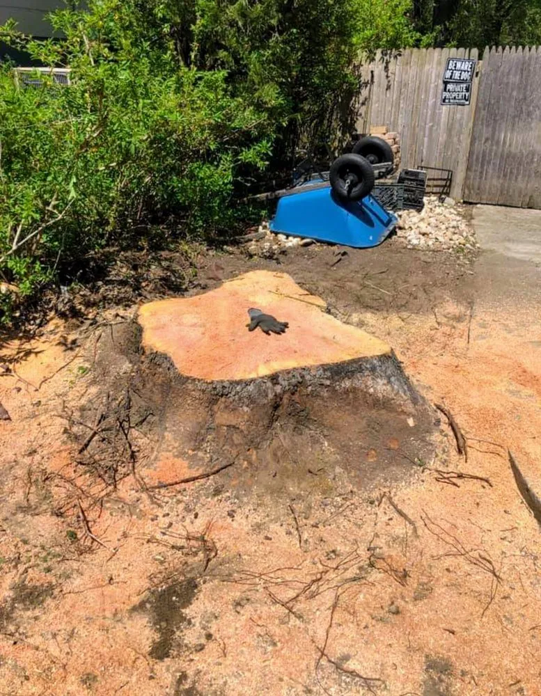 Affordable garden landscaping for homes in Lumberton, NJ by Johnny's Stump Grinding