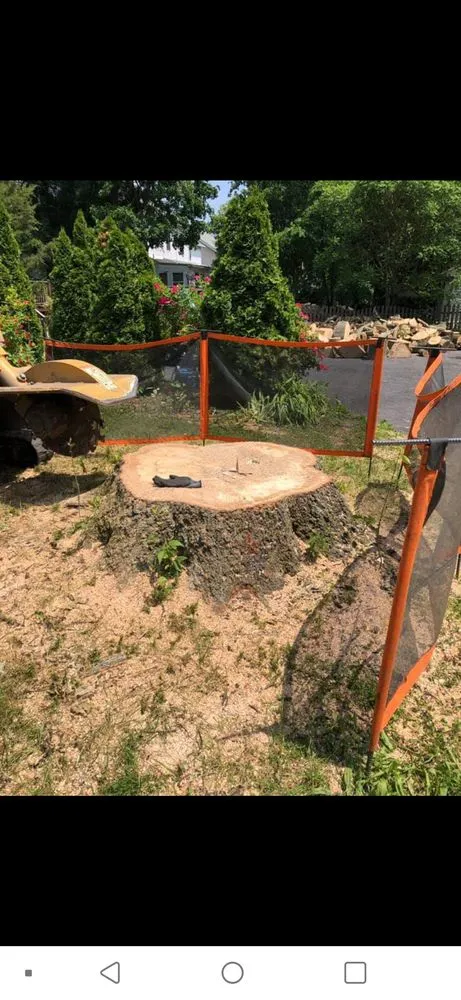 Professional landscape design experts serving Lumberton, NJ - Johnny's Stump Grinding