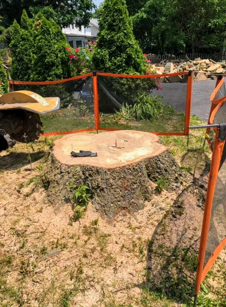 Local landscaping services for beautiful yards in Lumberton, NJ by Johnny's Stump Grinding