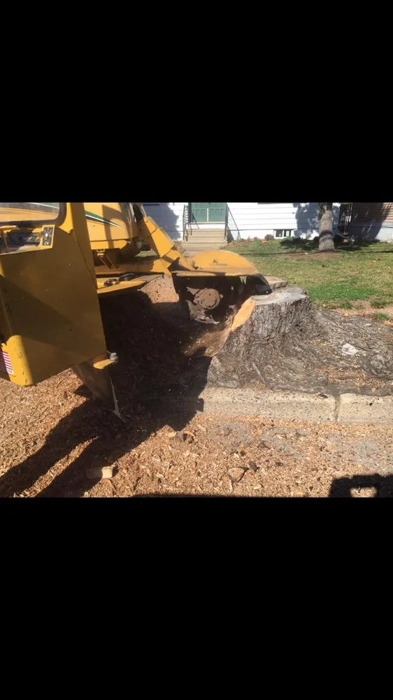 Local lawn care service near you in Lumberton, NJ by Johnny's Stump Grinding