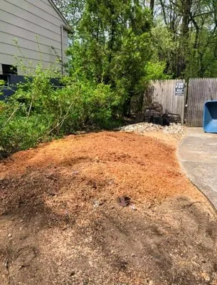 Johnny's Stump Grinding