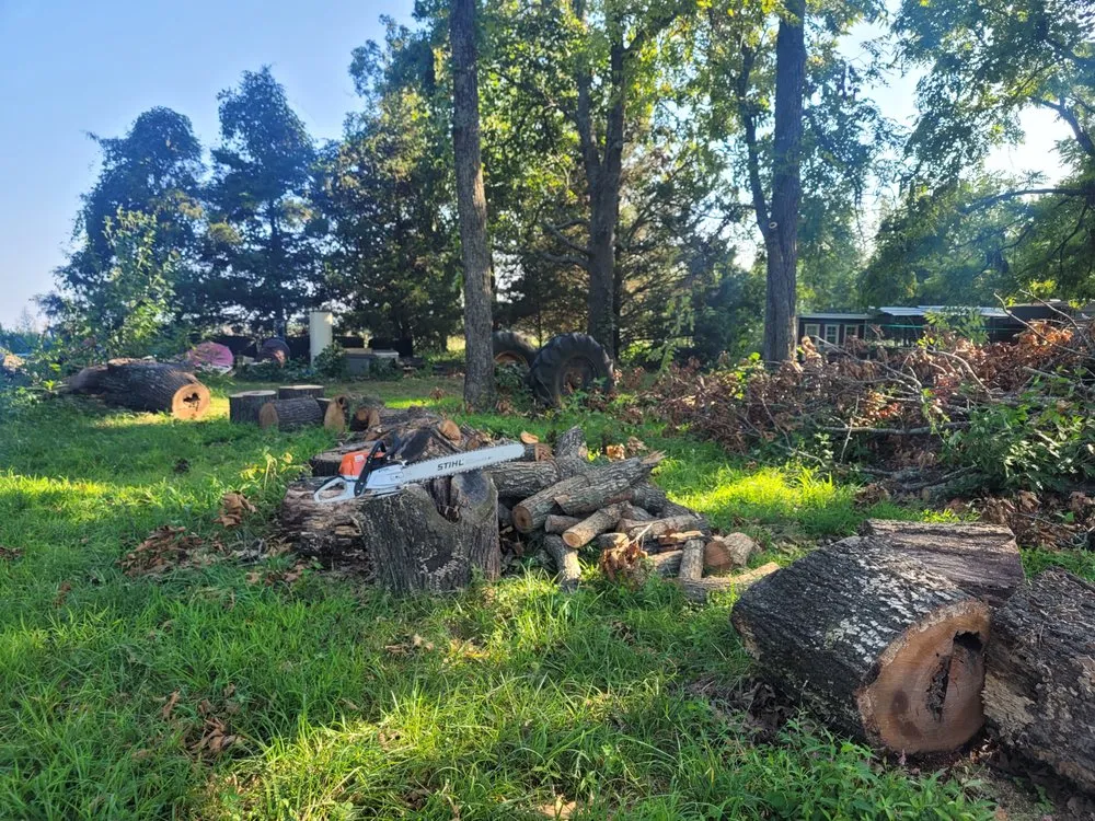 Local landscaping services in Ozark, MO by Johnnys Tree Care