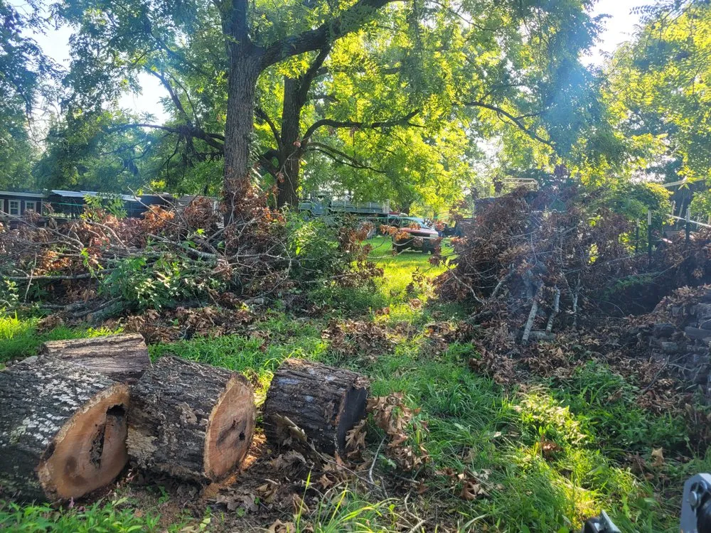 Local lawn mowing service experts serving Ozark, MO - Johnnys Tree Care