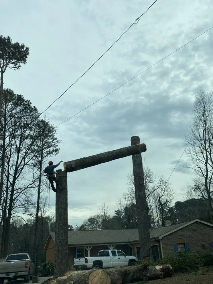 Local lawn mowing service in Buford, GA - Johnnys Tree Service