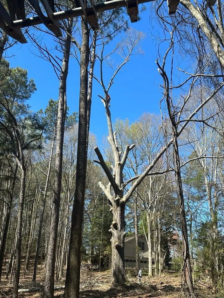 Custom garden landscaping in Buford, GA by Johnnys Tree Service