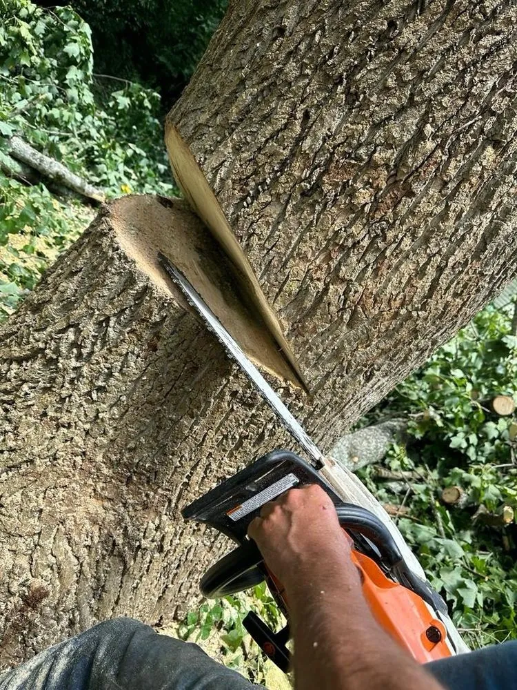 Professional landscape installation for outdoor upgrades across Buford, GA - Johnnys Tree Service