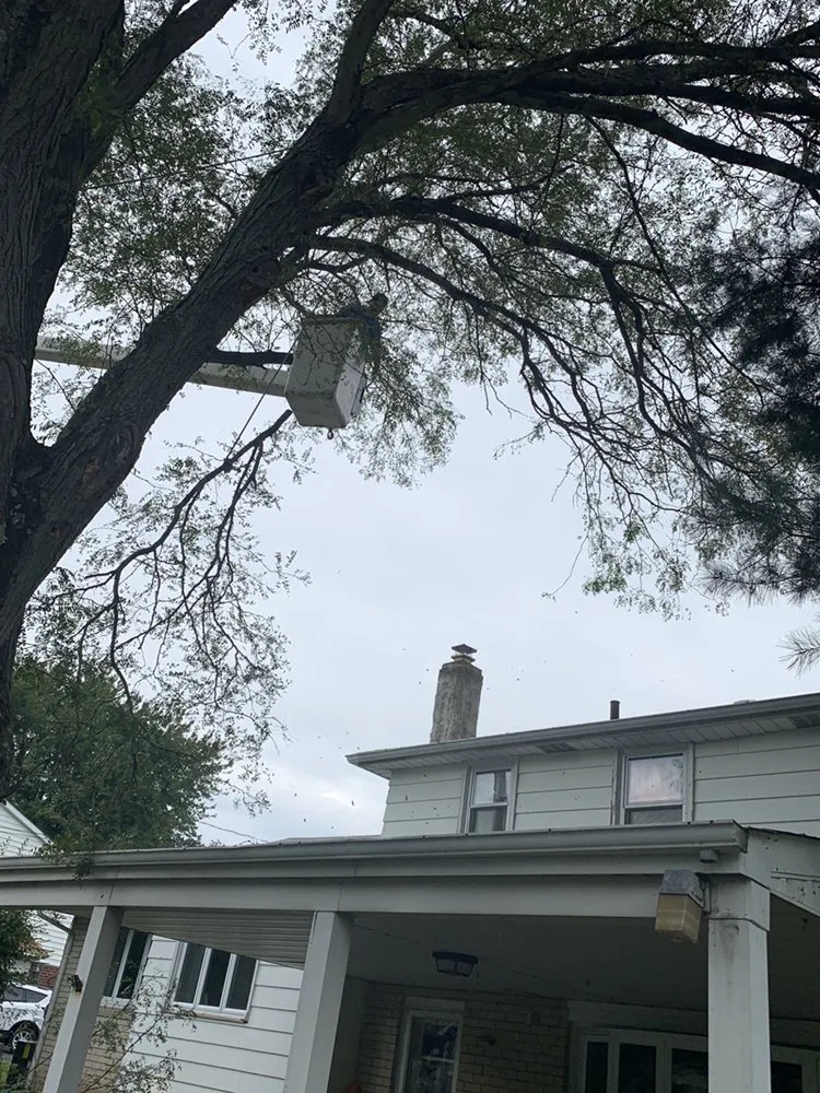 Local residential landscaping in Buford, GA by Johnnys Tree Service