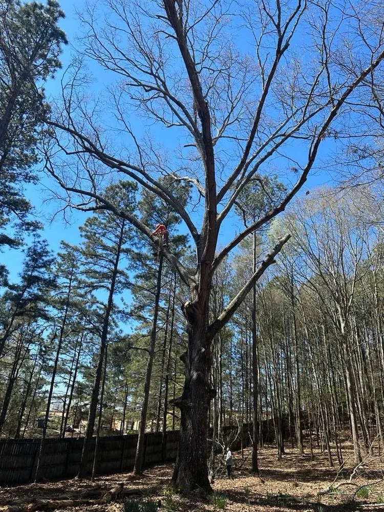 Local garden landscaping for beautiful yards in Buford, GA by Johnnys Tree Service