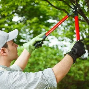 Reliable yard maintenance with custom design across Buford, GA - Johnnys Tree Service