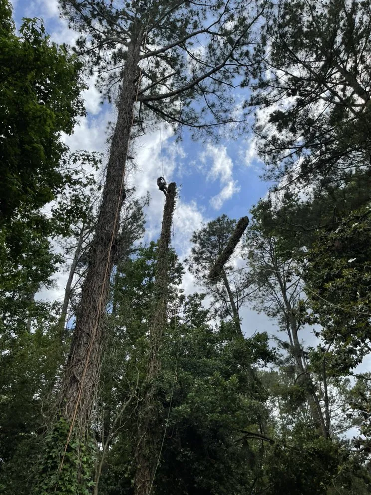 Reliable outdoor landscaping in Buford, GA by Johnnys Tree Service