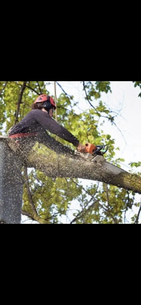 Expert residential landscaping near you in Buford, GA by Johnnys Tree Service