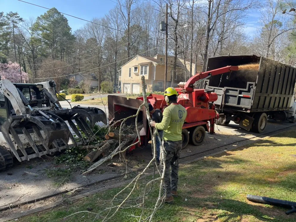 Local outdoor landscaping for year-round maintenance across Buford, GA - Johnnys Tree Service