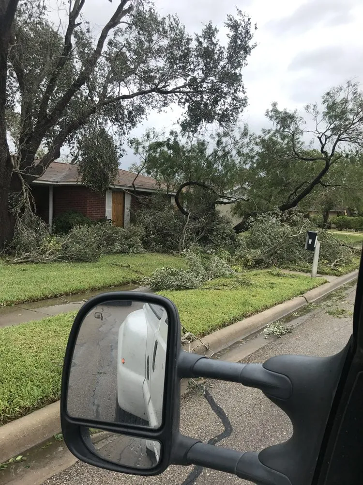 Expert garden landscaping in Corpus Christi, TX - Johnnys Tree Service