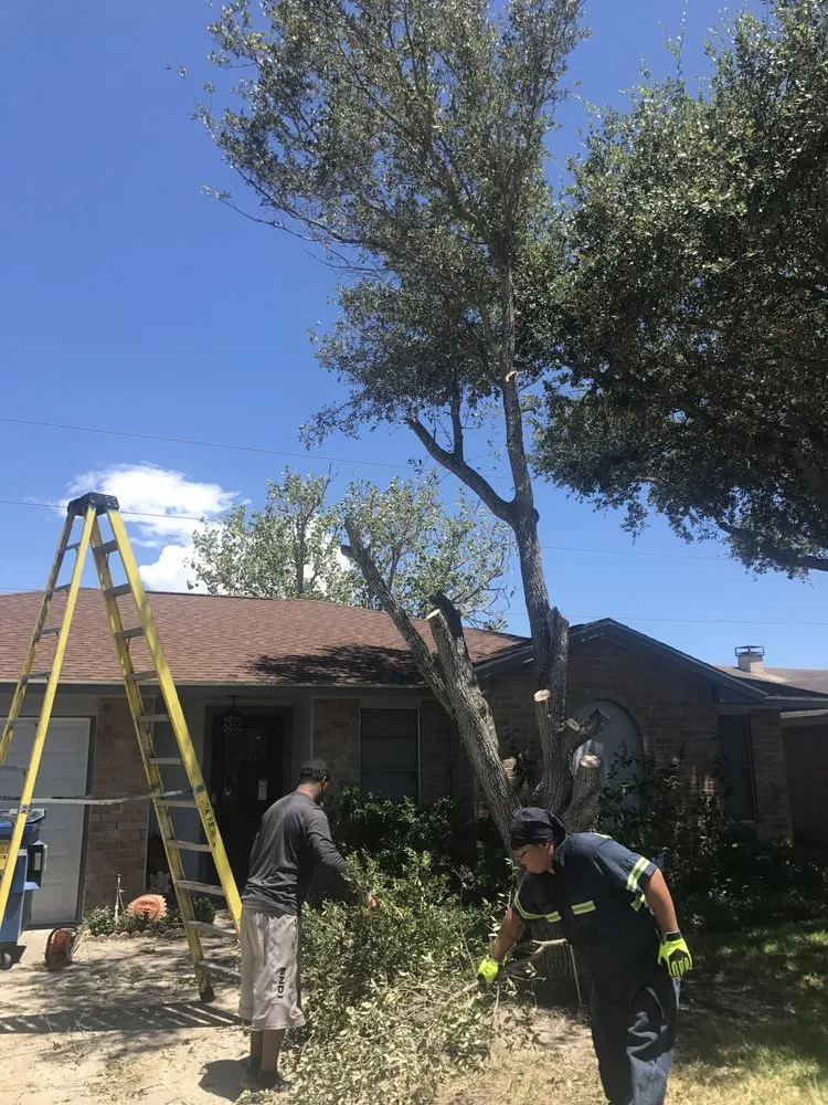 Local lawn mowing service in Corpus Christi, TX - Johnnys Tree Service