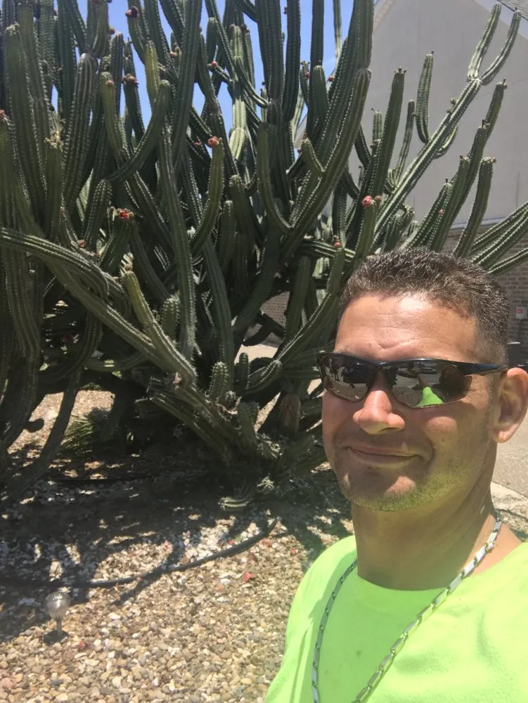 Trusted residential landscaping for year-round maintenance across Corpus Christi, TX - Johnnys Tree Service