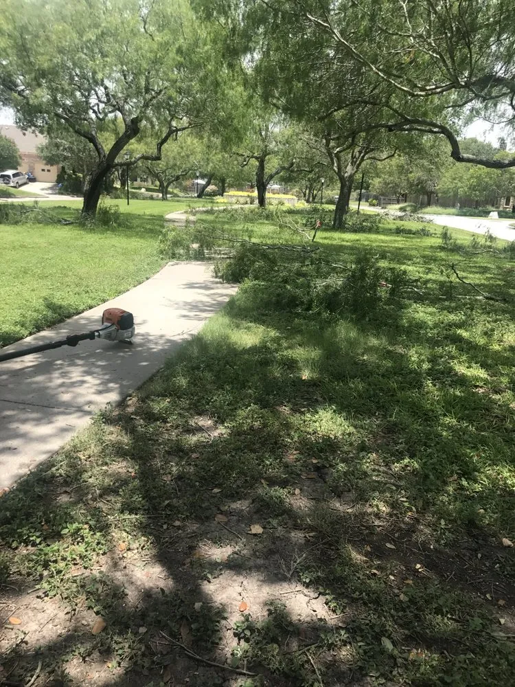 Trusted landscape design experts serving Corpus Christi, TX - Johnnys Tree Service