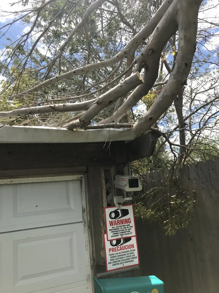 Expert landscape design for year-round maintenance across Corpus Christi, TX - Johnnys Tree Service