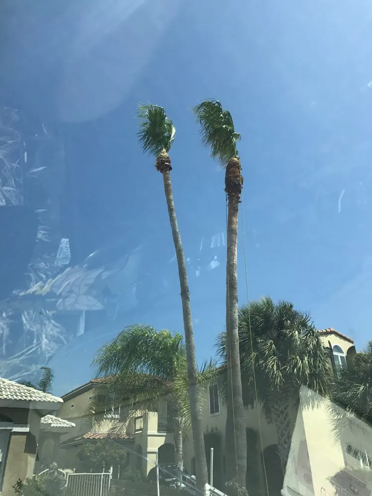 Reliable lawn care service experts serving Corpus Christi, TX - Johnnys Tree Service