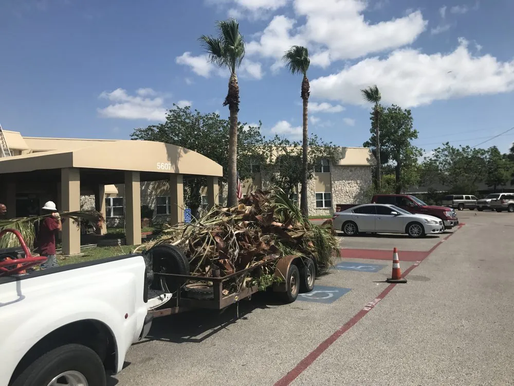 Custom residential landscaping for homes in Corpus Christi, TX by Johnnys Tree Service