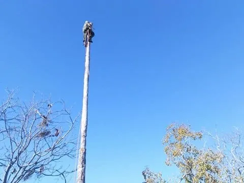 Reliable garden landscaping in Corpus Christi, TX - Johnnys Tree Service