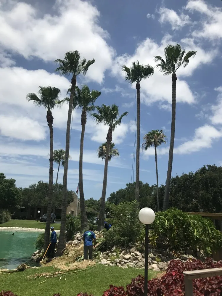 Custom residential landscaping in Corpus Christi, TX - Johnnys Tree Service