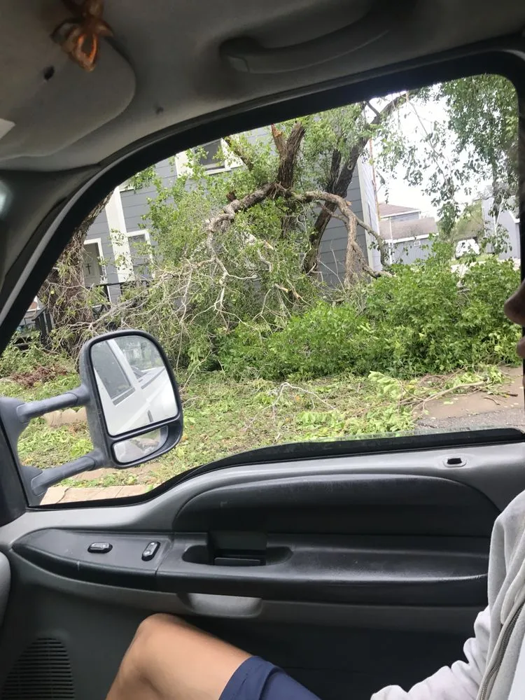 Professional yard maintenance for homes in Corpus Christi, TX by Johnnys Tree Service