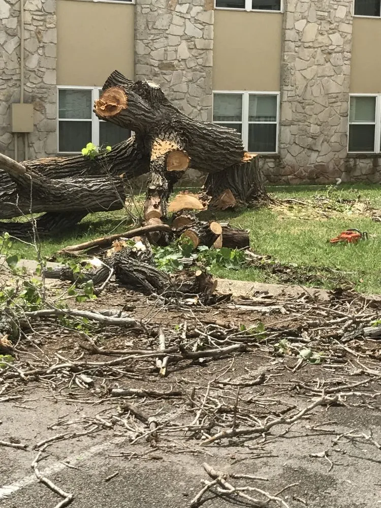 Affordable garden landscaping experts serving Corpus Christi, TX - Johnnys Tree Service